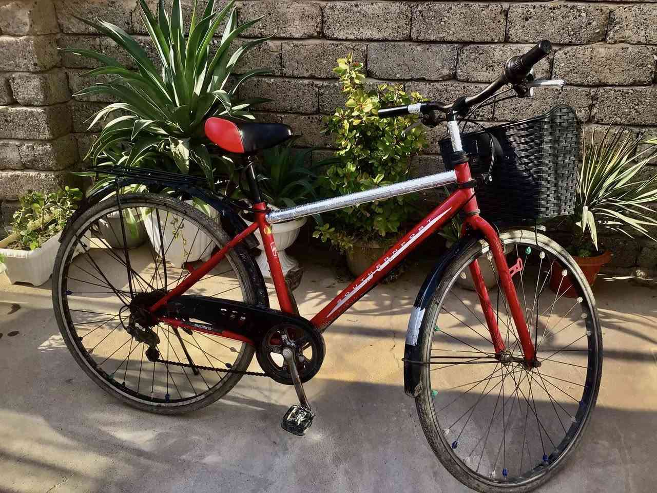 السعر ٧٥+بي مجال
الرقم للاستفسار. ***********
