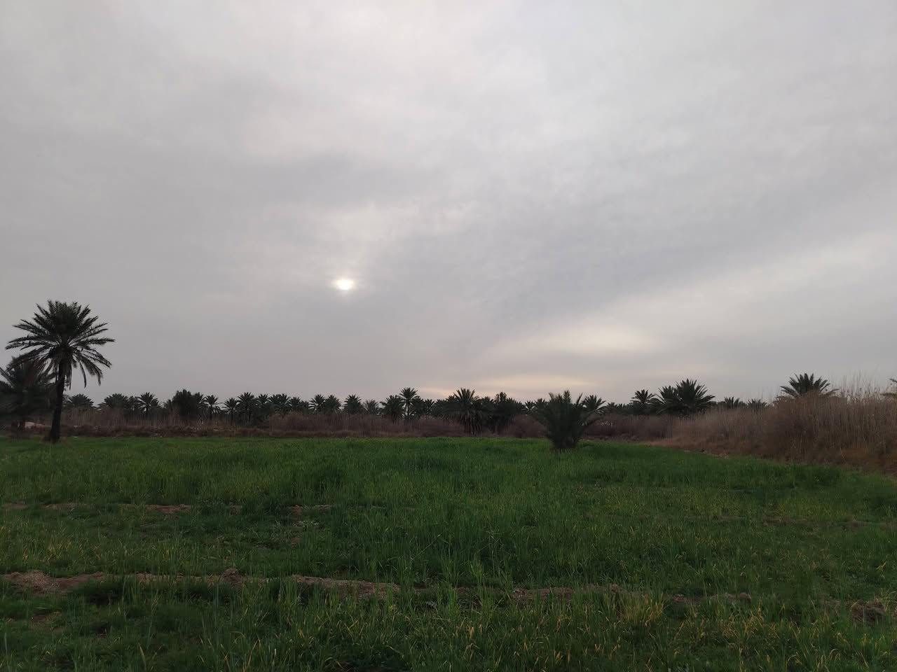 السلام عليكم ورحمة الله وبركاته يوجد ضمانه مال شعير المكان بابل الورديه خارج لاستفسار انتصل عل رقم *********** أو على الخاص مفتوح
