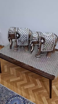 ذني الفيلة • ٤٠×٤٠ • فطر