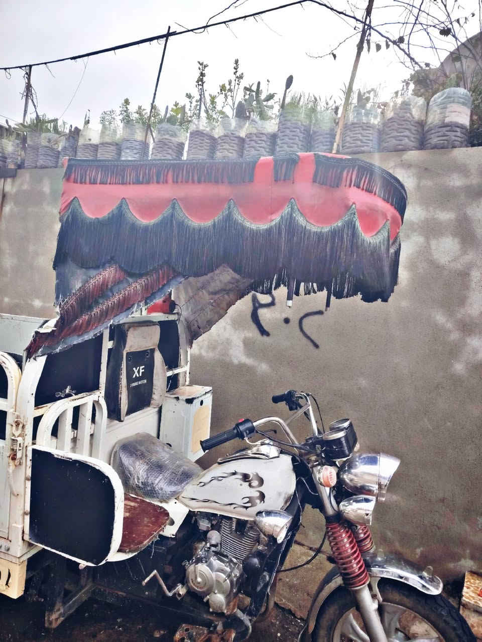 للبيع قمريه ستوته موصل حي البكر


**إذا كنت صاحب هذا الإعلان وتريد حذفه لأي سبب، رجاءا أرسل رسالة إلى الدعم الفني**