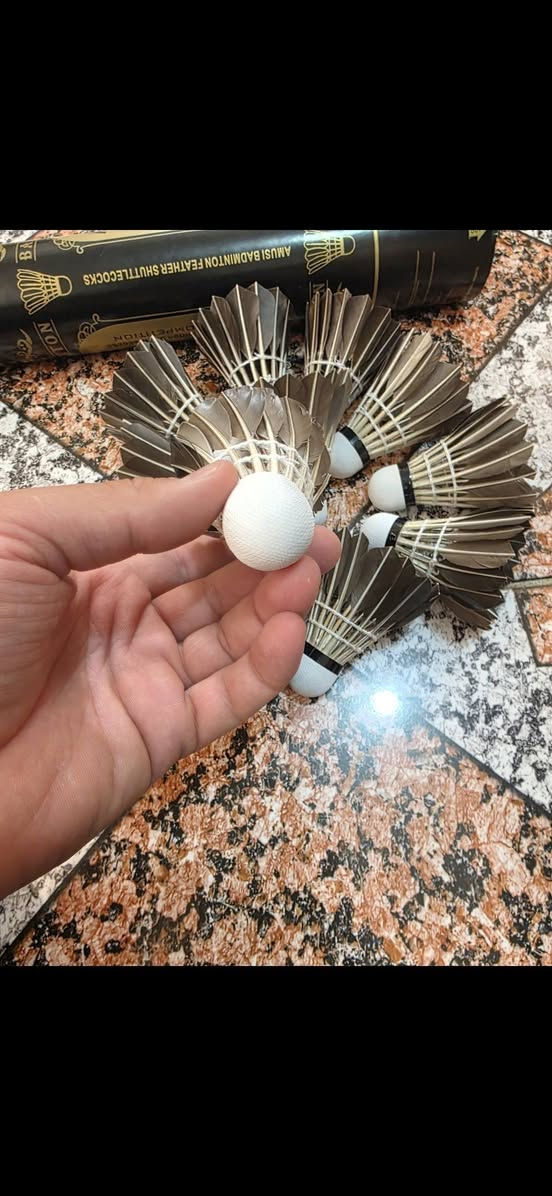 ريش تنس عدد 12 قطعة
15 الف


**إذا كنت صاحب هذا الإعلان وتريد حذفه لأي سبب، رجاءا أرسل رسالة إلى الدعم الفني**