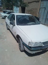 بيجو روى • فطر بالسلندر • رقم نجف