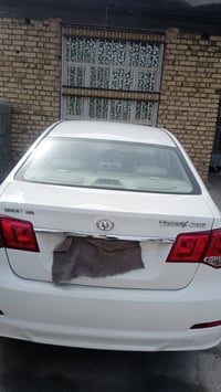 گريت ويل فولگس • ٢٠١٣ • كفاله عامه