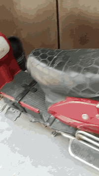 سعر  300 بي مجال رقم*********** 
***********
