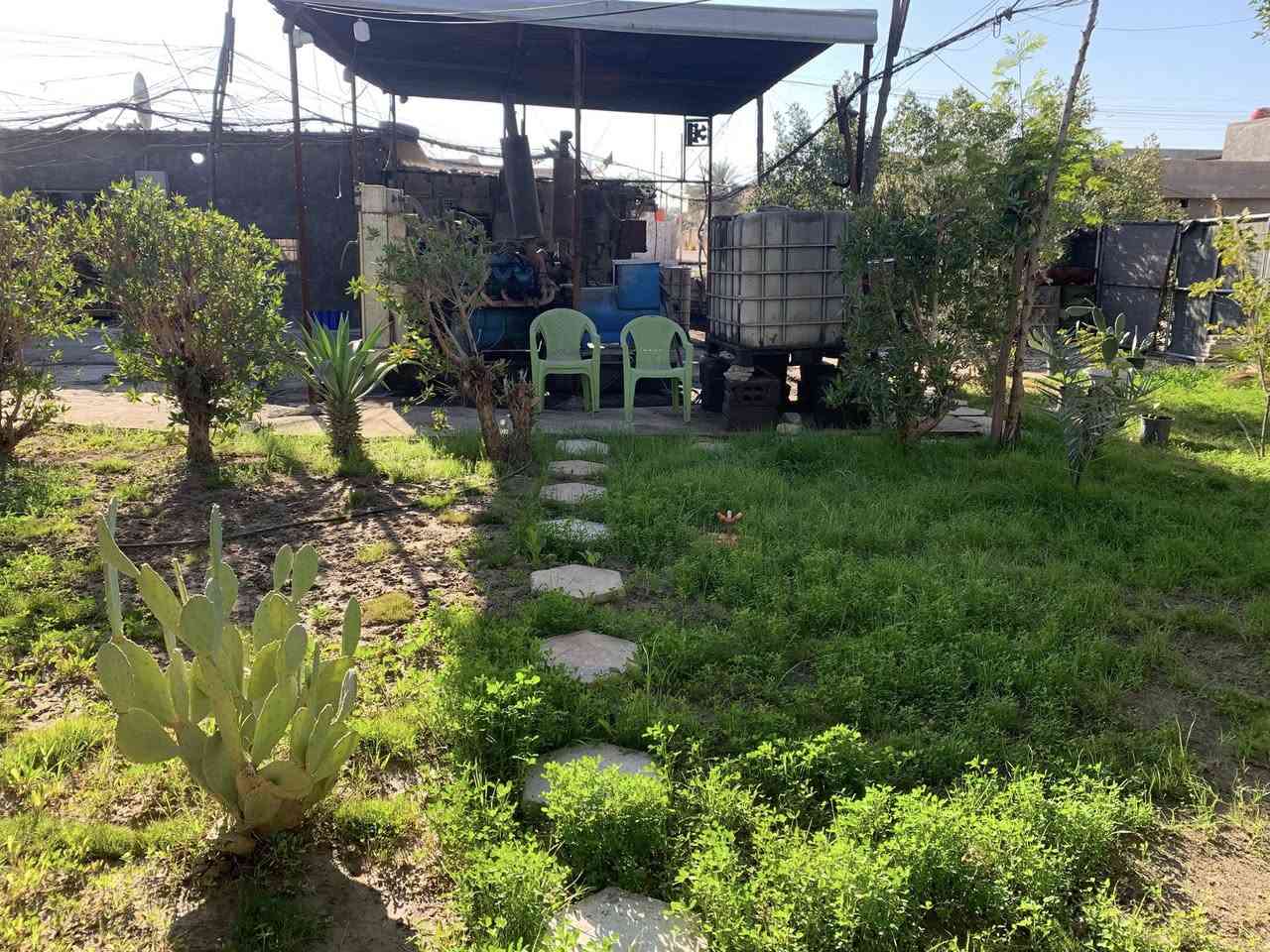 سلام عليكم موقع مولده كامل للبيع جاهز من كلشي المكان بابل محاويل  ابو سديره 
1 عدد المكاين 2 نوع سكانيه 43/42
2 عدد الانبيرات 700 انبير قابل للزياده
3 حصته كاز 280كيفي 
باقي التفاصيل خاص 
***********
