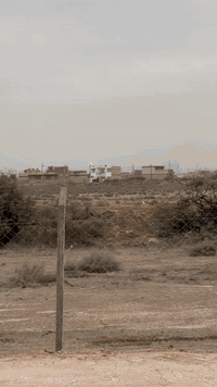 #عاجل الديوانية مجمع الفرات كلش راقي وسعارهم تخبل  يتميز المجمع بأعلى المواصفات 
خدمات ماء كهرباء شوراع مبلطه بعرض 15 متر والفرعية 11 متر طابو زراعي سند 25 تحويل مباشر 
متوفره حسب طلبك لكافه المساحات من 100متر الى 1000 متر او اكثر 
يبعد عن تقاطع الفرات 1 كم متر فقط 
للأستفسار والحجز اتصال 📞 او واتساب 
***********
