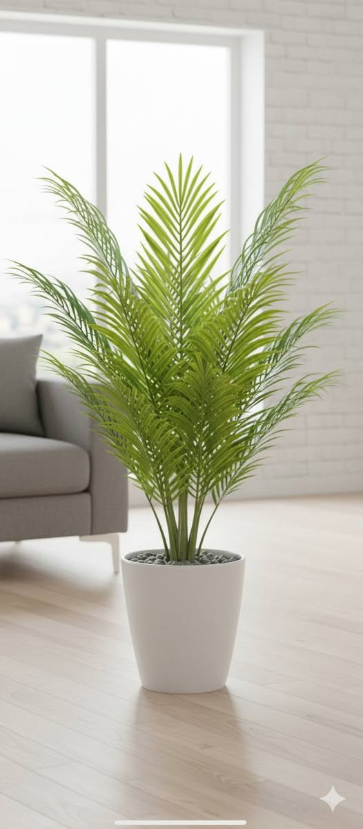 توفر عندي اسعار مناسبه


**إذا كنت صاحب هذا الإعلان وتريد حذفه لأي سبب، رجاءا أرسل رسالة إلى الدعم الفني**