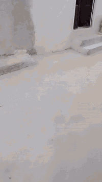 ١٠٠م • بناء جديد • حاكم زاملي