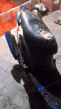 ماكس  البيع عدله مال لعب مزوده بوشه55دراجه نكره سلف دراجه سعر450وبيه م...