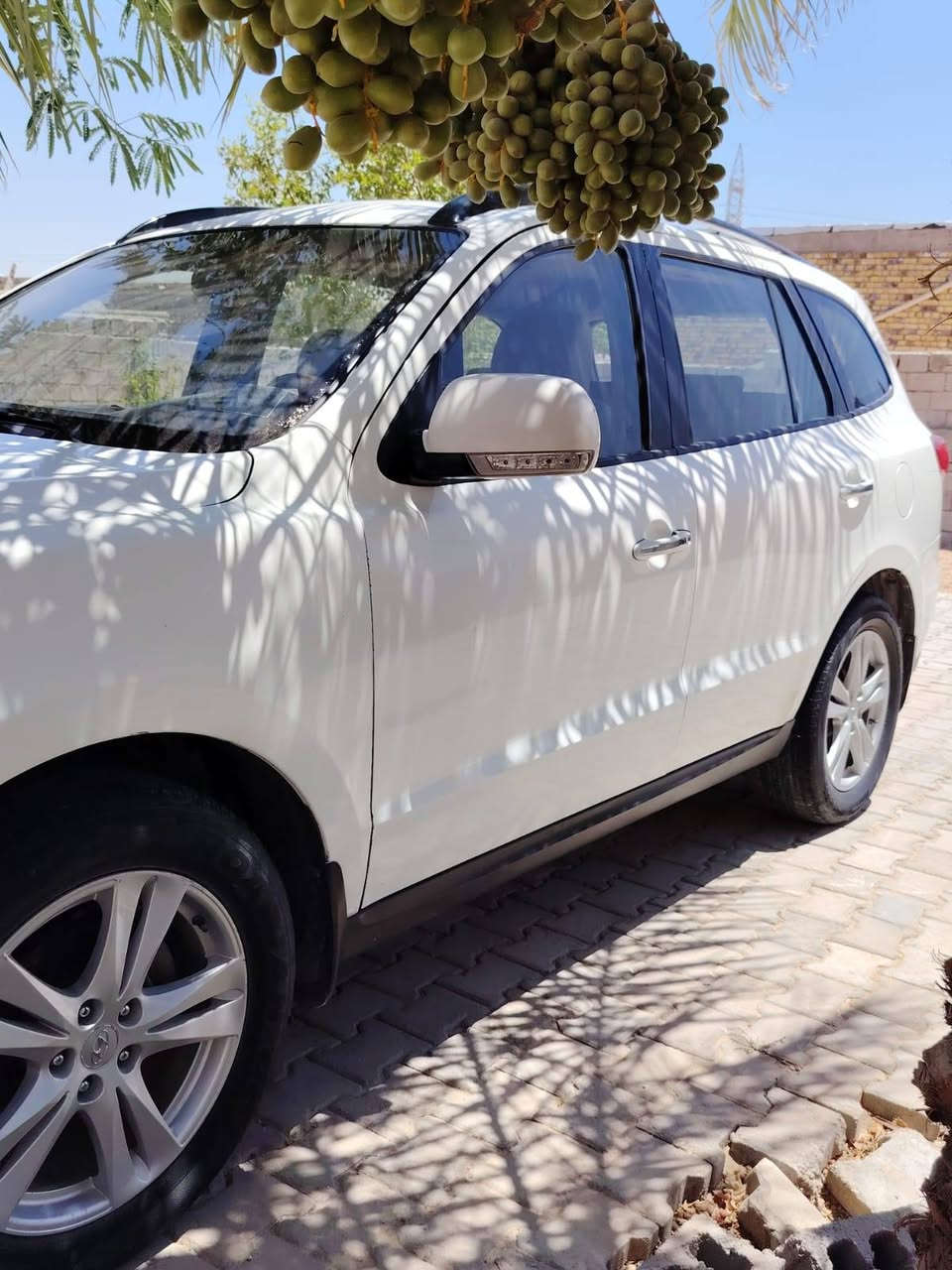 للبيع سنتافيا ٢٠١٠ سونار ماكو للبياعة شره ماأبيع رجاءً رجاءً اقرأ المنشور زين
للبيع سنتافيا موديل٢٠١٠ سنوية ل٢٠٢٧ رقم بغداد مداور بأي وقت گير مكينة حدادية خير من الله تبريد ماكو ماعرف شنو نقصة بية صبغ باب وجاملغ الصدر مكان نجف السعر ١٠٠ بية مجال بصيط ***********

