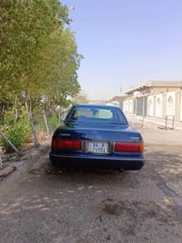 كراون ارنب • ١٩٩٥ • أبي الخصيب