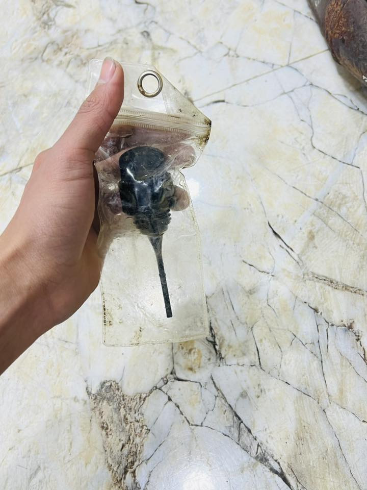 كلمن وسعره
موجود خاص وموجود واتساب ***********
