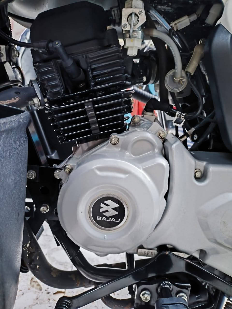 سلام عليكم شباب درجه بوكسر موديل 2023طالع بل 25 درجه حيل نضيفه و ما مفتوحه درجه سنويه 2450و بيه مجال الله شاهد محتاج وريد ابيع***********هذا بيه وتساب وخذا ثاني***********هذا مفتوح اتصال
