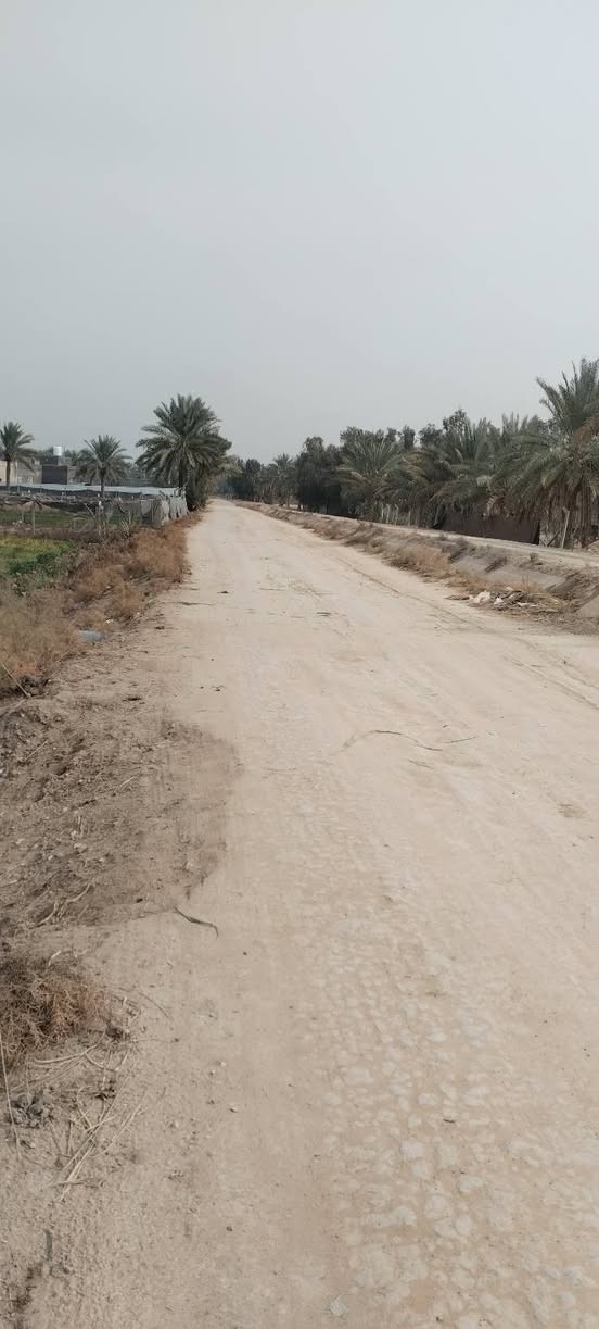 ارض زراعيه مساحه ٢دونم كاع روعه موقع ممتاز كافه الخدمات طويريج الرشيده قرب البواسماوي تبعد عن السيطره ٥٠٠ متر سند ٢٥ تفاصيل على الخاص مكتب حيدر للعقار ***********
