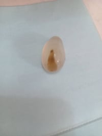 نجف خام • مصور • رجل معمم