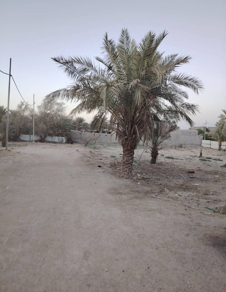 2000 الفين متر.. تصلح بناء مدرسه او اي مشروع أخر 
قطعة أرض طابو صرف عراقي بسمي تريد تحويل تريد وكالة

مساحة الفين متر 2000 يعني دونم اله

منطقة البهادريه شارع 8 متر

للاستفسار أكثر اتصل ***********
