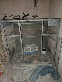 قفص • للبيع • قلعة سكر