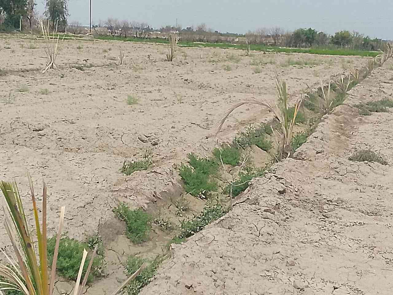 يوجد لدينه دوانم 6عله طريق دغاره وره ثروه لحيوايه علمشروع صب بيه بير توازي وكهربا سند 25)***********
