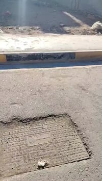 قطعه للبيع في الجمعيه الثانيه خلف متوسطه الفرزدق المساحه 122.5والواجه6...