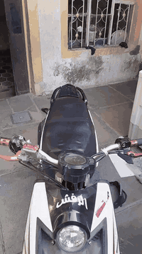 سلام عليكم للبيع مكاني مدينة صدر سعر ٩٠٠ بيهة مجال رقمي ***********
بلادية بس تزويد خارجي
