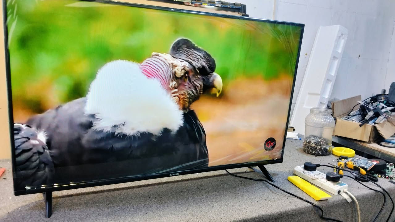 شاشه حجم 43 حقيقي فول سمارت وانترنيت سعر 100الف قفل تابيع الفيديو


**إذا كنت صاحب هذا الإعلان وتريد حذفه لأي سبب، رجاءا أرسل رسالة إلى الدعم الفني**