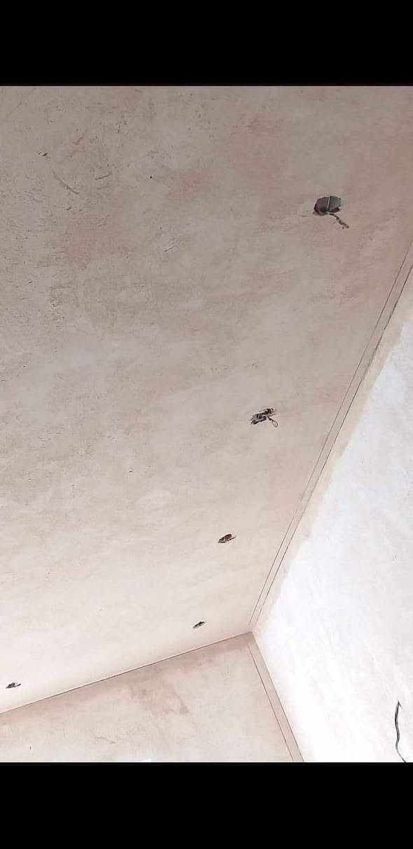 لباخ جص سمنت تصفير مساطر لط بورك سقل طلس ستن واجهات تصفير مطابخ حمامات ترميم الدور كرشته وعمل***********
