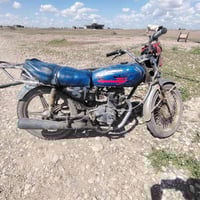 تايكر • 18 • مراوس