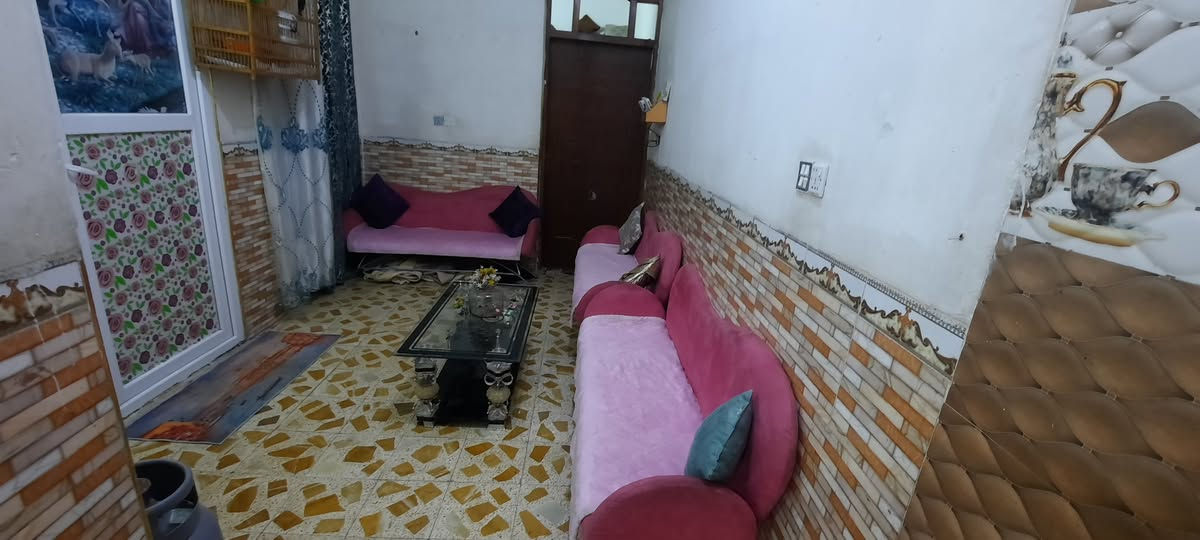 البيع تخم اصلي أوربي عنوان ميسان عماره اتصل واتساب موجود بالخدمة 《***********》 شراي يتصل عمارة, ميسان
