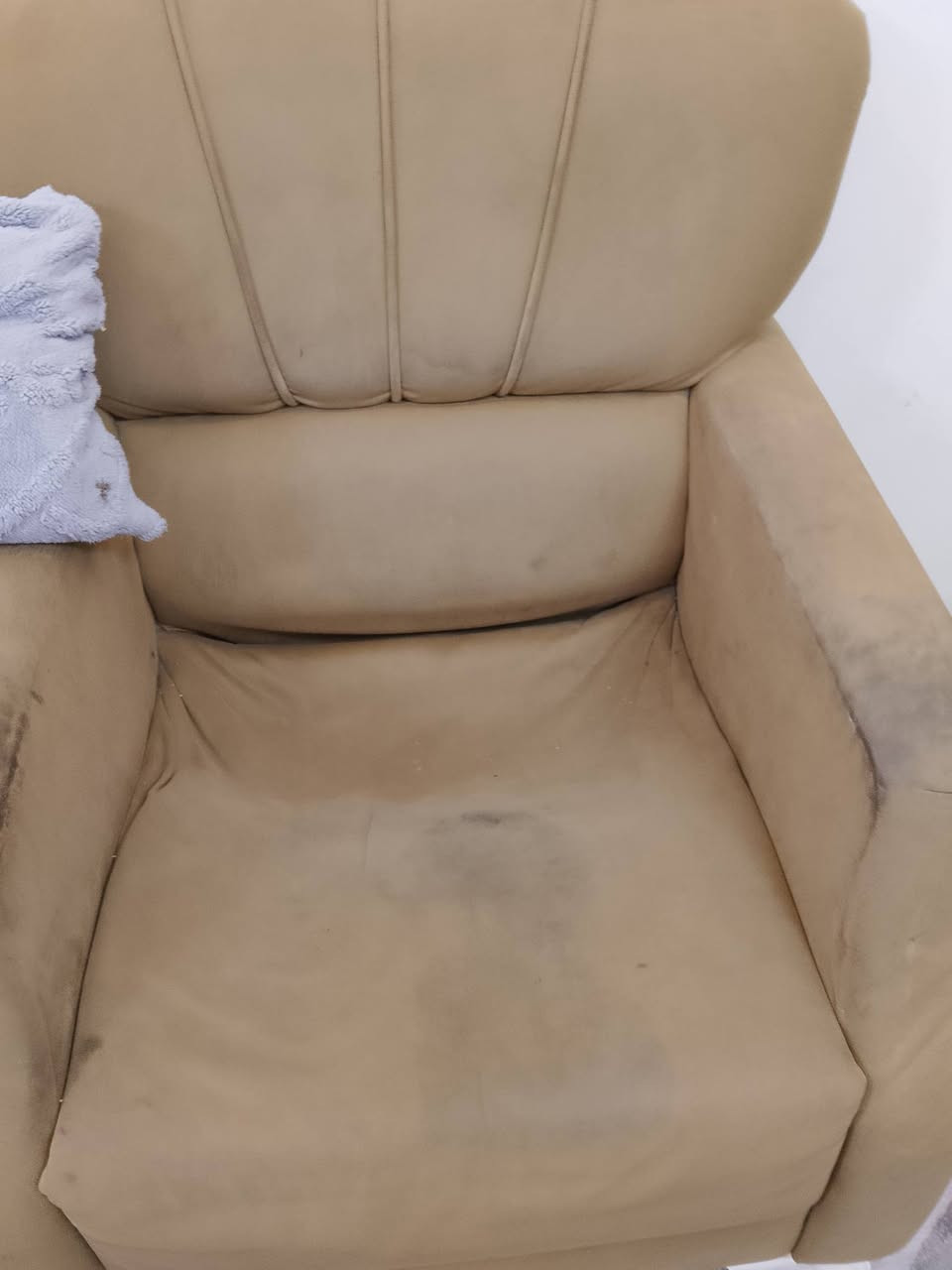 تخم ديوان ١٠مقاعد للبيع ب٧٥وبي مجال مكاني الدورة ***********
