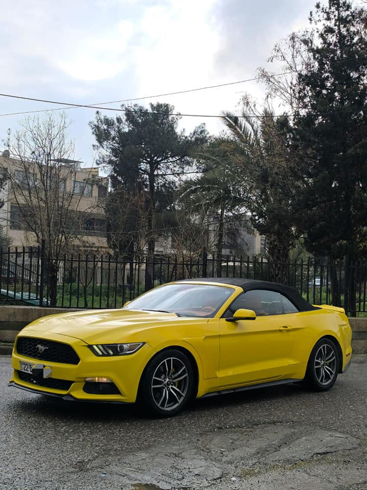 کــــــوردی 
تەنها فرۆشتن بە نقد 
Mustang amreki 
مۆستانگ 
مـــۆدێل / 2016
مواسفات /  شاشە ، کامیرە 
مەکینە / v.4 چوار پستۆن  
مەکینەی کرایتەوە 
 بێ ئێڕباگ ، بێ ناوگرتن 
بێ سبوغ  ٣ جێ تەعدیل 
( ٢٨٣) هەزار  کم چووە
سەنەوی نوێیە 

نـــــــرخ  (( ١٣٧٠٠$  )) 

ناونیشان هەولێر
 

عربي 
فقط بیع نقد 

Mustang amreki 
 موستانک امریکی
مــــــــودیل/2016
مواصفات/ كاميرة ، حساس ، 
محرك /  v.4 اربع سلندر
محرك مفتوح 
بدون ایرباك ، بدون دواخل
بدون صبغ  ٣ مكان تعديل 
 
سنوية جديدة  

سعر   (( 13700 $  )) 
عنوان اربیل ، للاستفسار أربيل, العراق


**إذا كنت صاحب هذا الإعلان وتريد حذفه لأي سبب، رجاءا أرسل رسالة إلى الدعم الفني**