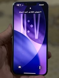 آيفون ١٣ برو ماكس • ٥١٢ • ظهر مفطور