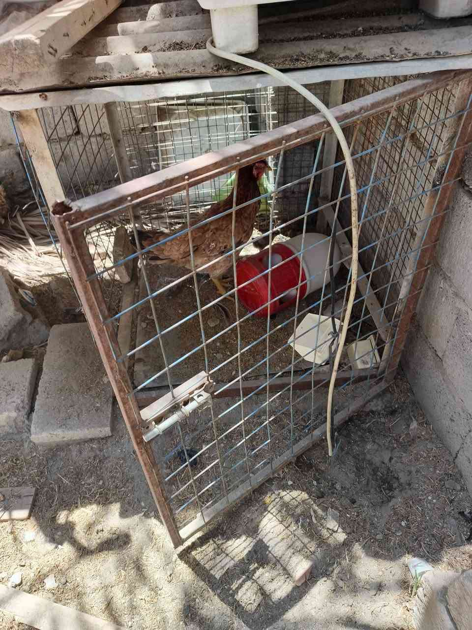 اغراض للبيع كربلاء


**إذا كنت صاحب هذا الإعلان وتريد حذفه لأي سبب، رجاءا أرسل رسالة إلى الدعم الفني**