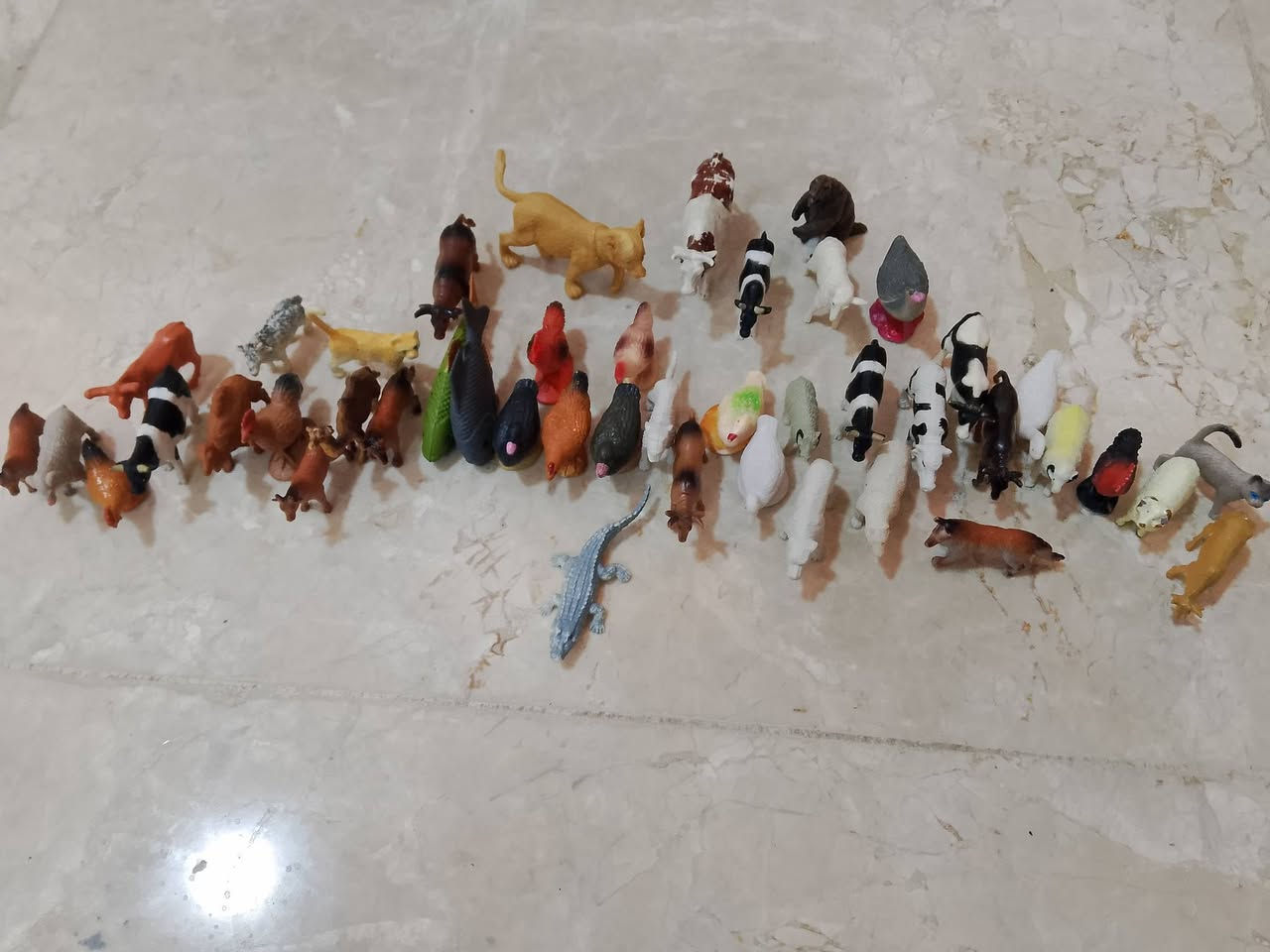 هاي مجموعه حيوانات  ديناصور  و حيوانات. مختلفه إكبار و صغار


**إذا كنت صاحب هذا الإعلان وتريد حذفه لأي سبب، رجاءا أرسل رسالة إلى الدعم الفني**