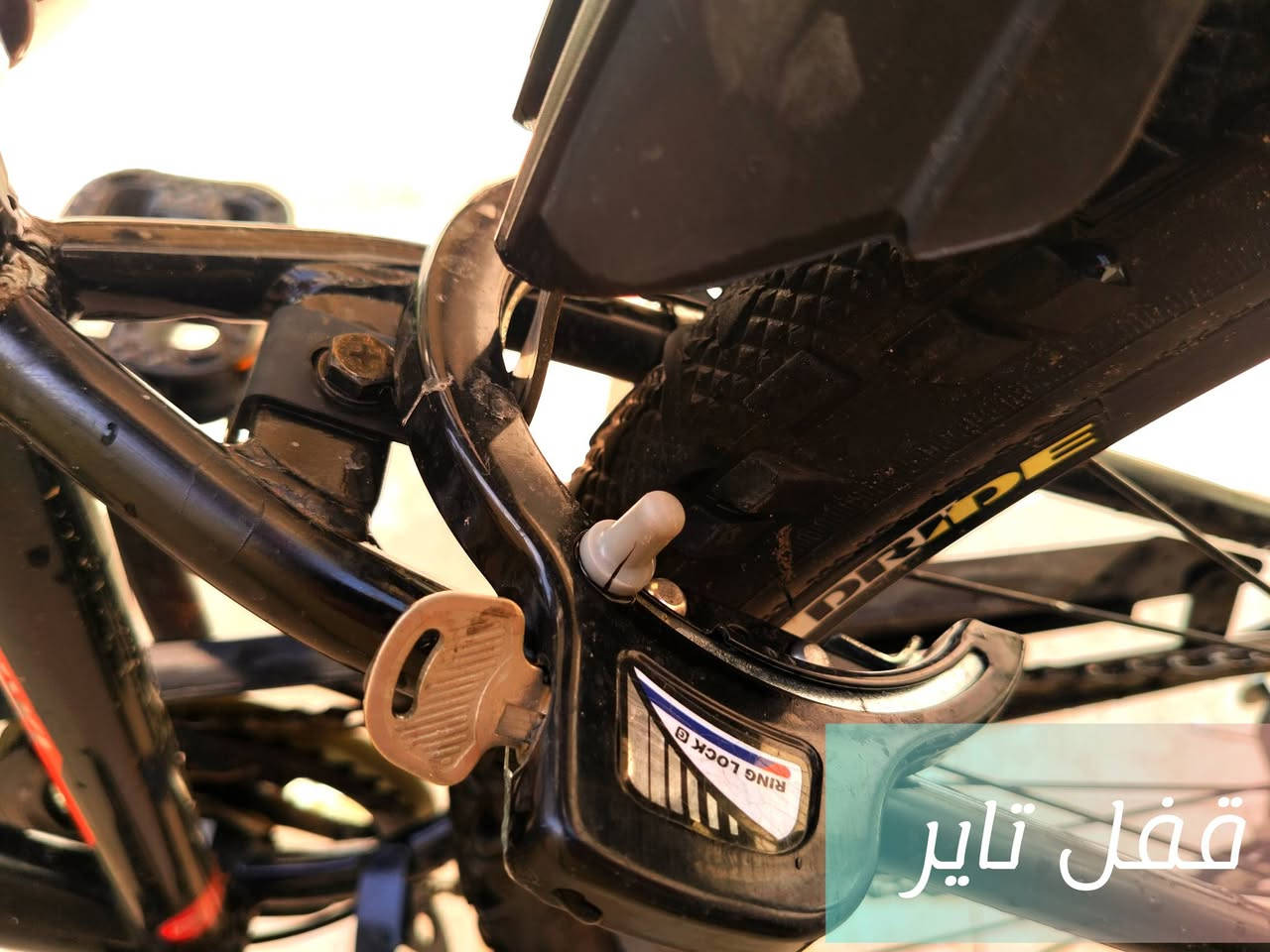 بايسكل جبلي نظيف جدا
بالة ياباني DRIDE
اللون : اسود مخطط أحمر
كير ست نمر
حجم 24
سلة قويه كلش
قفل للتاير الخلفي
لايت اماميDynamo
السعر 200 الف وبي مجال


**إذا كنت صاحب هذا الإعلان وتريد حذفه لأي سبب، رجاءا أرسل رسالة إلى الدعم الفني**