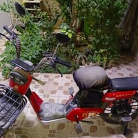 دراجة شحن • حجم 20 • الرفاعي