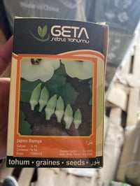 بذور باميا بترا • إنتاجية عالية • كركوك الحويجة