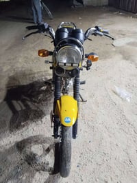 دايون 2023 • ليموني أصفر • أوراق بدون رقم