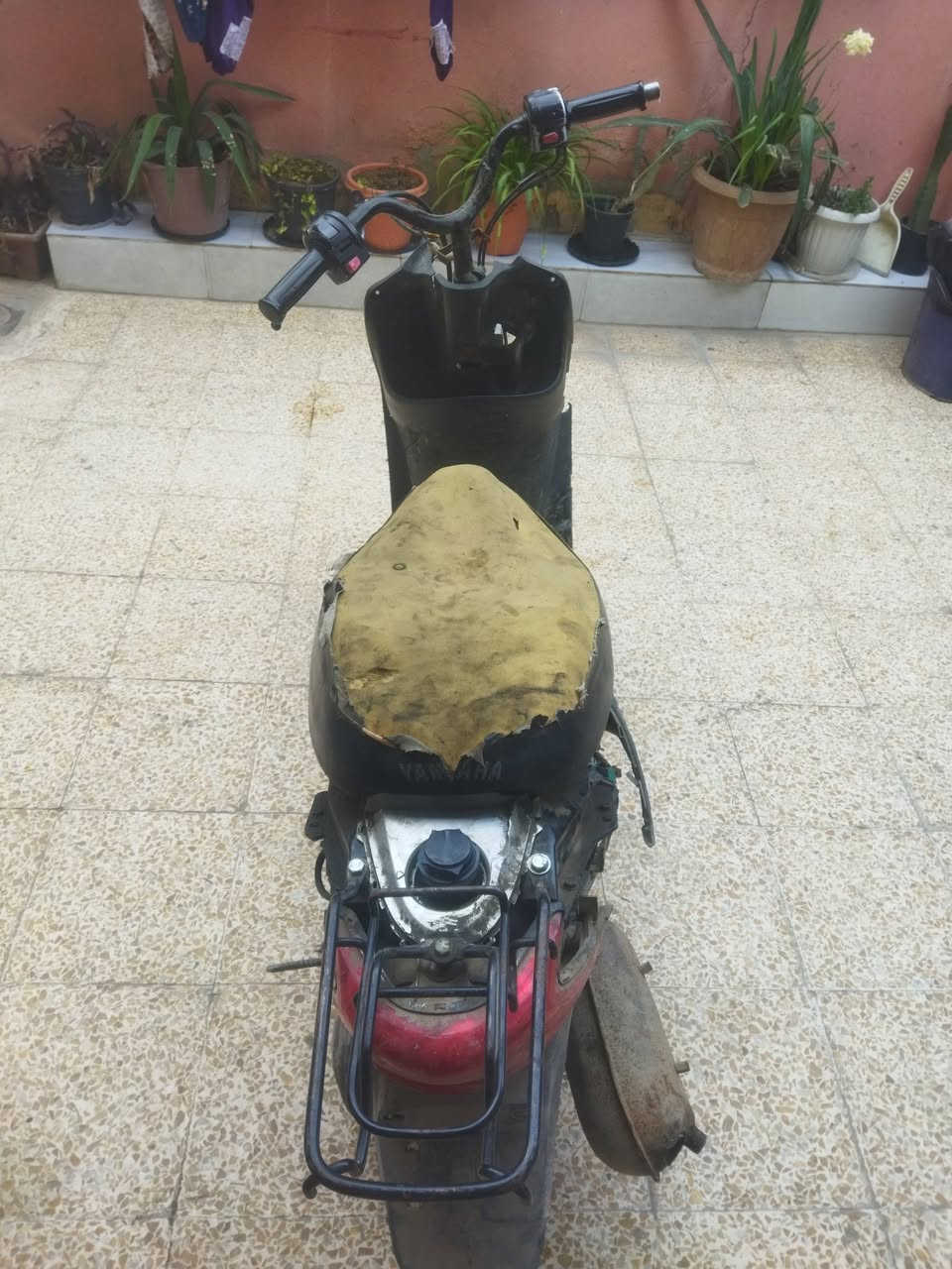 السلام عليكم اخوتي، الماطور للبيع، السعر 100وبي مجال للطيبين، مكاني حي الأنتصار


**إذا كنت صاحب هذا الإعلان وتريد حذفه لأي سبب، رجاءا أرسل رسالة إلى الدعم الفني**