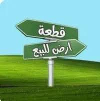 الصيادة الجديدة • ٢٠٠م • ركن بصف الطابو