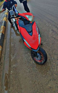 مضلع ياباني • معدل • لايتات كامل