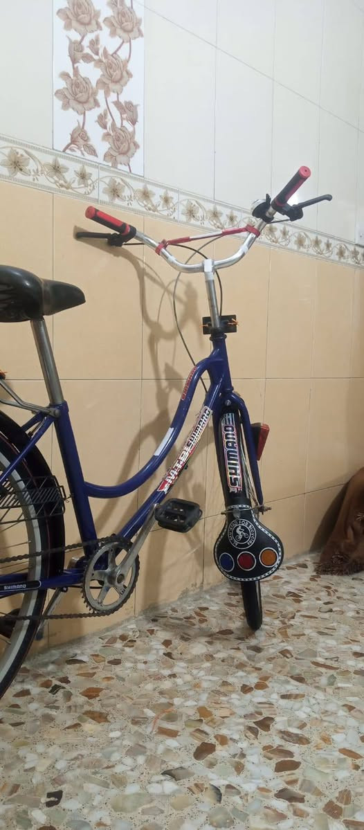 السلام عليكم بايسكل للبيع حجم 26كامل من كلشي تايرات جديده مكاني بغداد جميلة الثانية متواجد خاص السعر خاص


**إذا كنت صاحب هذا الإعلان وتريد حذفه لأي سبب، رجاءا أرسل رسالة إلى الدعم الفني**