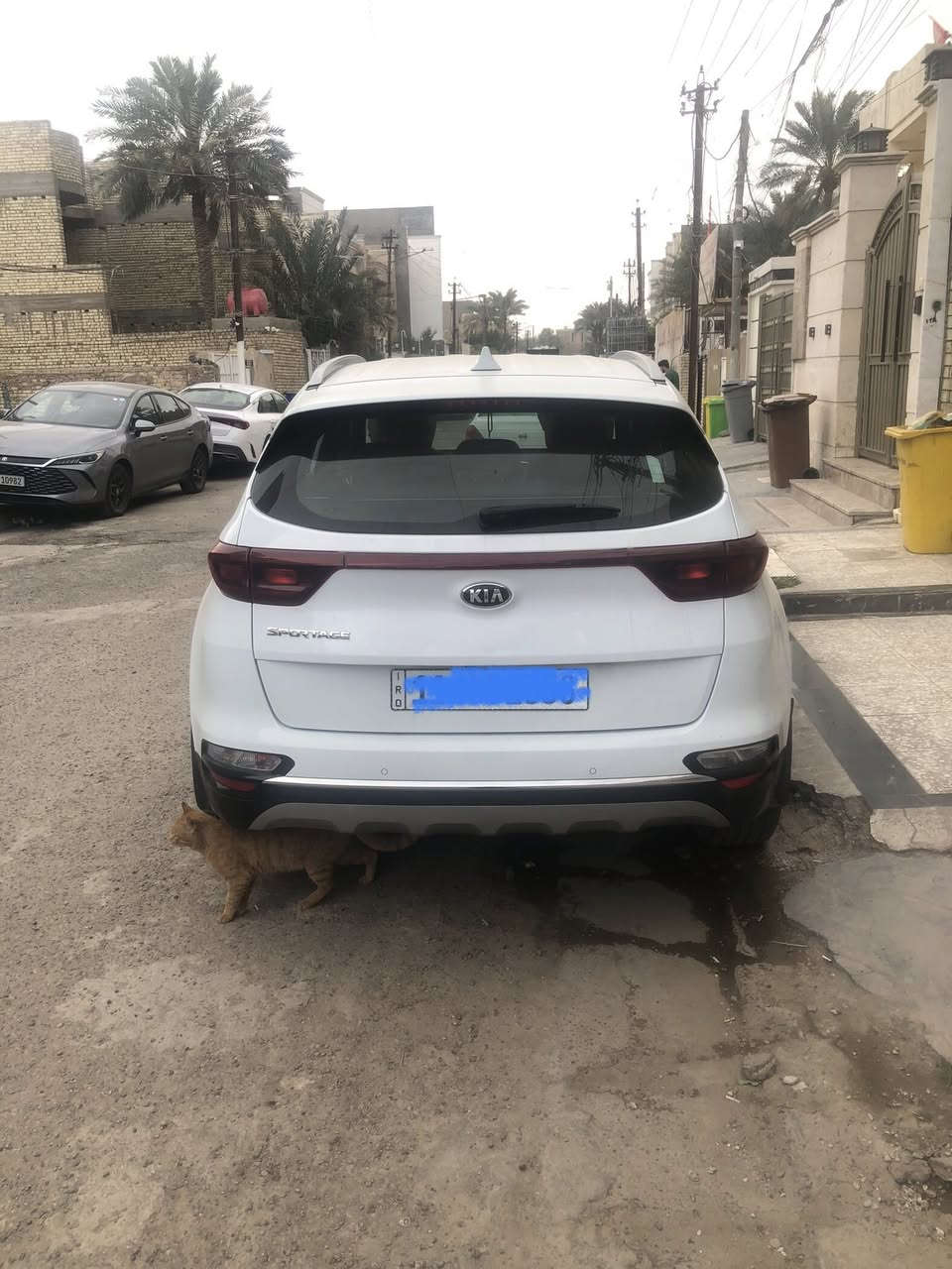 سلام عليكم 
كيا سبورتج 
موديل 2021
السيارة مكفولة كفاله من ضربه وصبغ وتبديل ماعدا الي موضحة بالصور بارد بسيط ورصعات ثنين 
موصفاتها : 
مكينة 2000 دوش
بصمةتشغيل
بصمة عدد 2
وبصمة ابواب 
تشغيل عن بعد 
ترحيب عند الاقتراب
ماشيه 74 الف حقيقي 
مري شفط 
لد نهاري  + بك لايت LED 
لايت ضباب
ويل كب 19
كشنات جلد 
مود درايف 
تحكم ستيرن فول مع تحكم بلوتوث
قطعتين تبريد امامي وخلفي 
سايد بريك قدم 
لايت اوتو
اريل نفكيشن
حساس امامي
ويل كروم 
حساس خلفي
نضام منحدرات
كامره دواره 
شاشة اعطال
بعد بيها هواي موصفات
السعر 218 
السياره ب اسمي تحويل مباشر 
رقم بغداد 
مكاني بغداد/ البنوك  
ه‍ ***********
اتصال فقط بدون واتس اب او ماسنجر
