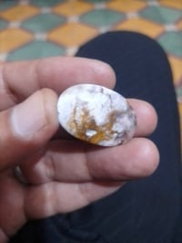داودي • معطف • واسط مركز المدينة