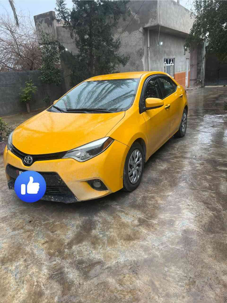 كورلا 2014 le للبيع
رقم سيارة ديالى مشروع وطني سنوية ماساقطة باسمي 
هيئة مصفرة 
كير جديد مال2020 شادلها ومحرك مابي تنقيص 
منضومة غاز 
تخم تاير جديد 
حادثها جامرلغ وراس البونيد بدون تبديل بدون دواخل وبيها بارد شبر هم  سونااار مابيها ماماخذلها
السعر 125 مكان سيارة ديالى جلولاء 
***********
