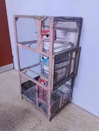 قفص خشب عراقي • يرموك الثانية • ٦٥×٥٠×١٢٥