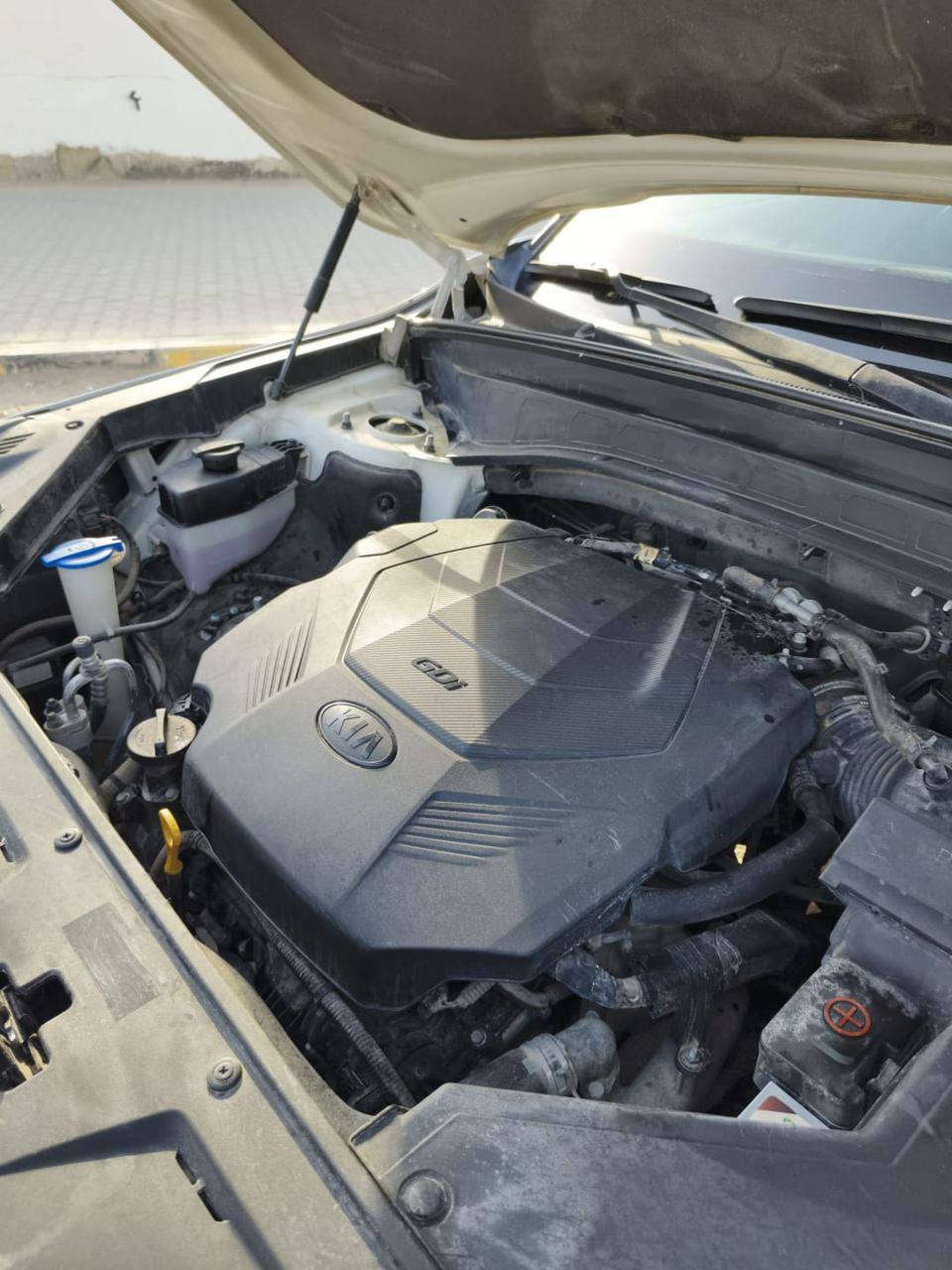 السلام عليكم كيا تلورايد 2021وارد امريكي حادث جاملغ و بنيد بدون دواخل رقم اربيل الجديد فور ويل 5وضعيات قياده كشتات VIPجلد 7راكب تدفئه كشنات تدفئه ستيرن مري شفط ترحيب مكينه 6سلندر 3800 مكينه و كير كفاله ماشيه 90الف  كيلو مكاني نجف السعر 238بي مجال  رقمي***********
