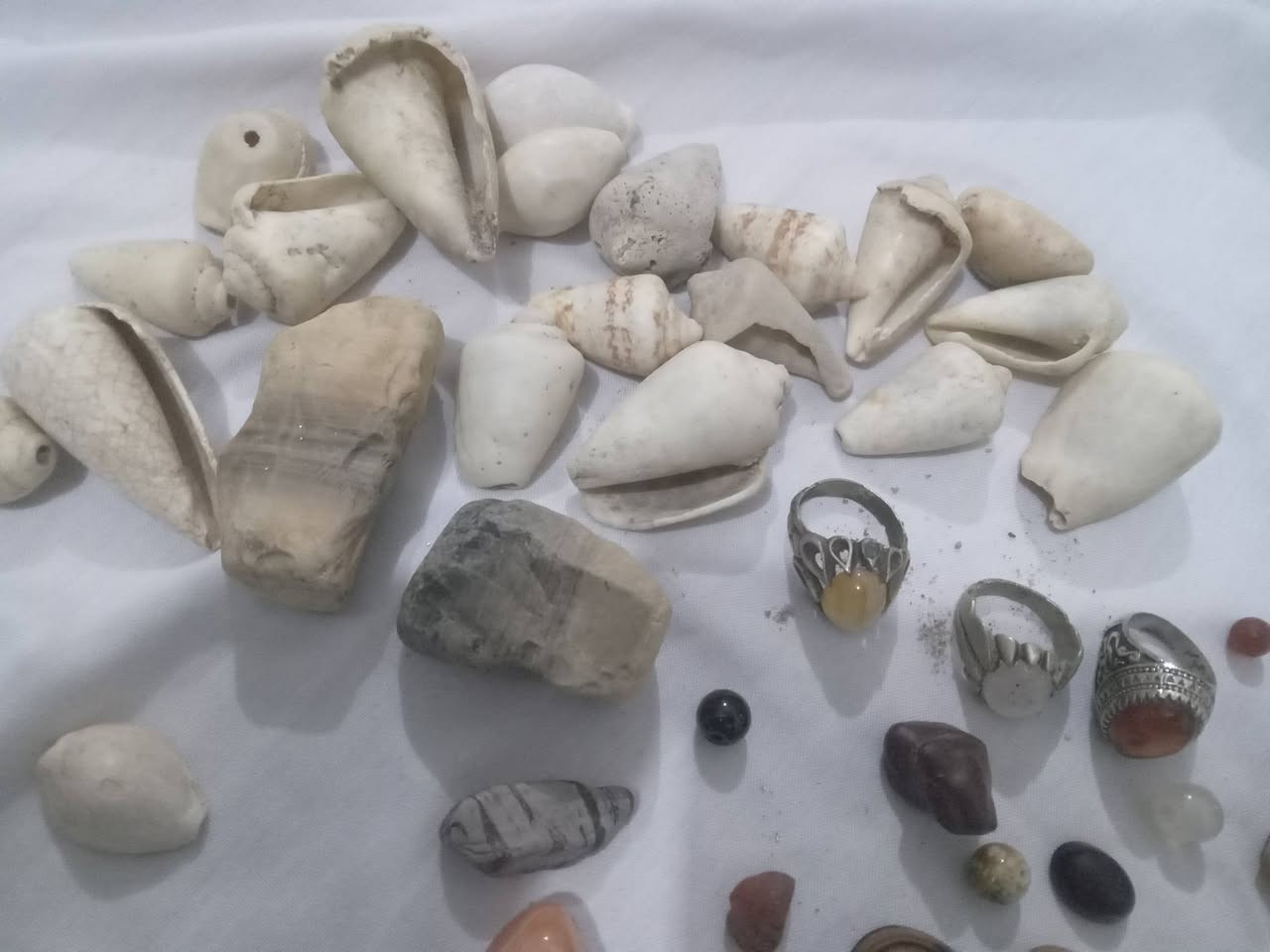 سلام عليكم عدي ذني لبيع بيهن سلطان وسليماني وهبهاب وعقيق وجزع ومرجان والبقيه ما اعرفهن ابيع شلعه واحد السعر 30 وبيهن مجال أو مراوس مكاني بالبصره بالزبير (***********)واتساب
