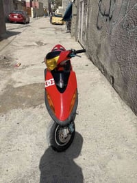 ماكس عدله • ٥٥ • بلاديه