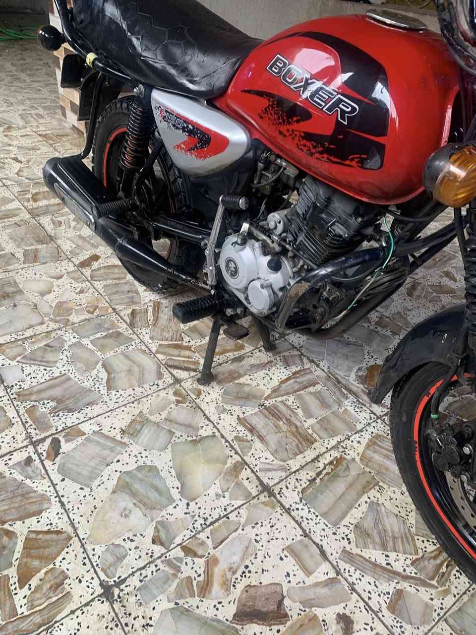 ‏السلام عليكم 
‏أخوان دراجة  بوكسر جبلي ￼موديل 22 
‏دراجة نظيفة قدامك م 
‏مكان بغداد الشعب 
‏دراجة مرقم باسمي سنوية تحويل  
‏ثاني يوم بغداد ￼￼￼￼￼￼
‏  بمليونين وبيها مجال ￼ 
***********￼
