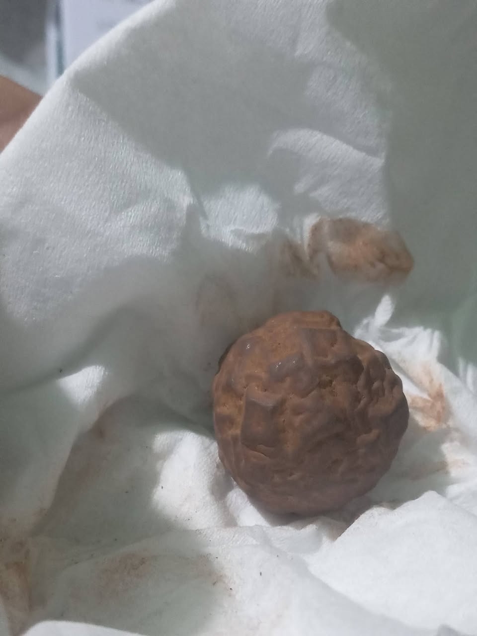 سليماني قديم فضه نازله وهبهاب ملاكط طاقه قويه كلش السعر ٣٠الف مكاني بغداد البياع


**إذا كنت صاحب هذا الإعلان وتريد حذفه لأي سبب، رجاءا أرسل رسالة إلى الدعم الفني**